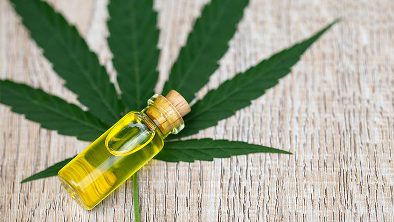 Aromatherapy Meets Physical Therapy: The Benefits of CBD and Essential oils post thumbnail image
