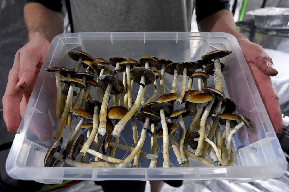 Getting to know more relating to magic fresh mushrooms post thumbnail image