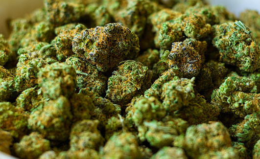Treat Yourself to High-Grade Weed from Our DC Dispensary post thumbnail image