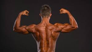Buy Steroids UK – The Best Places to Find Steroid Suppliers post thumbnail image