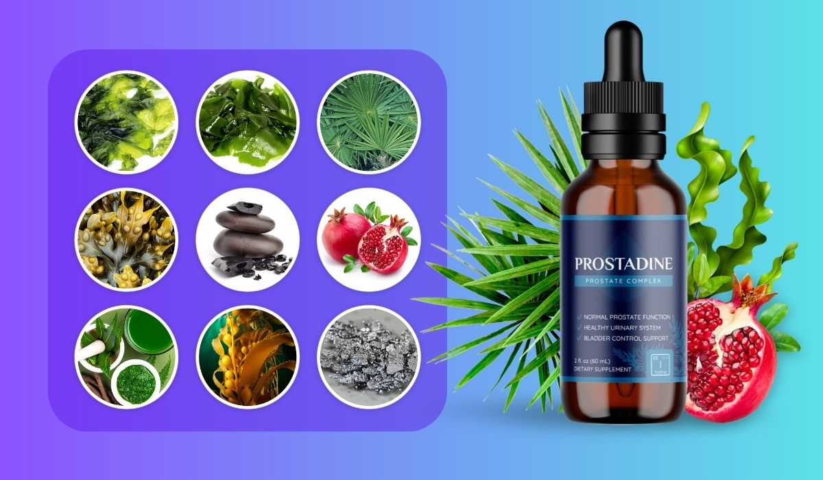 Exploring Real Customer Reviews and Results of Using Prostadine Drops post thumbnail image