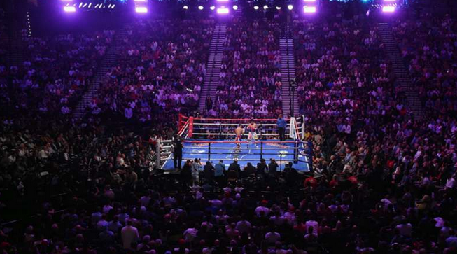 Catch All the Action: Popular Online Streams for Watching Professional Boxing Fights post thumbnail image