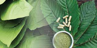All Aboard the Train Wreck: Exploring the Potent Mix of Kratom Strains post thumbnail image