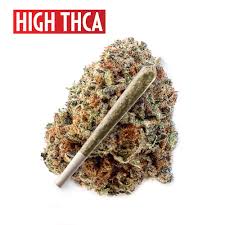 High-Potency THCA Extracts: Unleash the Power of Cannabinoids post thumbnail image